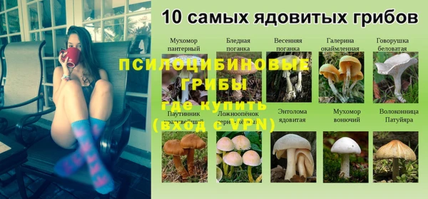 индика Абдулино