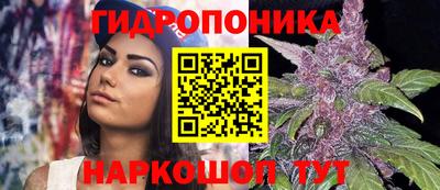 MDMA Premium VHQ Камышлов