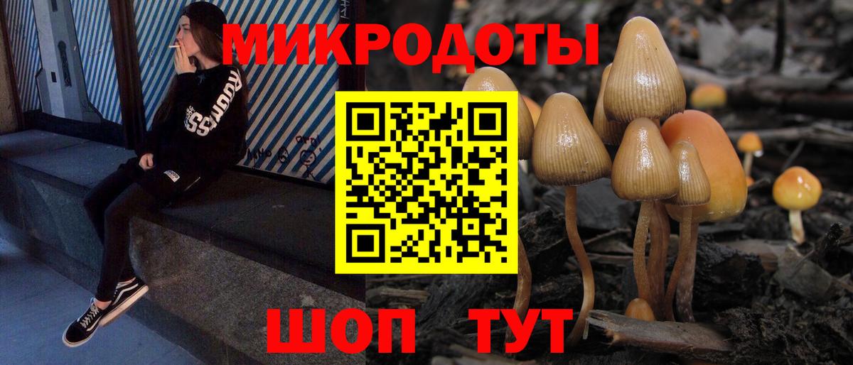 Псилоцибиновые грибы MAGIC MUSHROOMS  Вход с VPN  наркотики  Протвино  Псилоцибиновые грибы MAGIC MUSHROOMS 