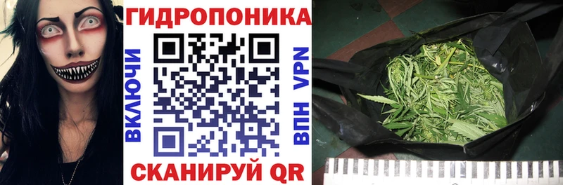 Канабис ГИДРОПОН  Протвино 